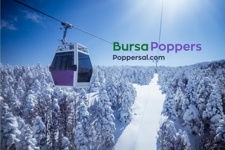 Poppers Bursa Sipariş Sitesi - Poppersal.com